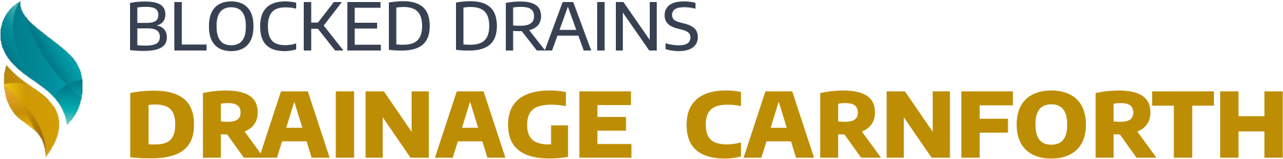 website logo
